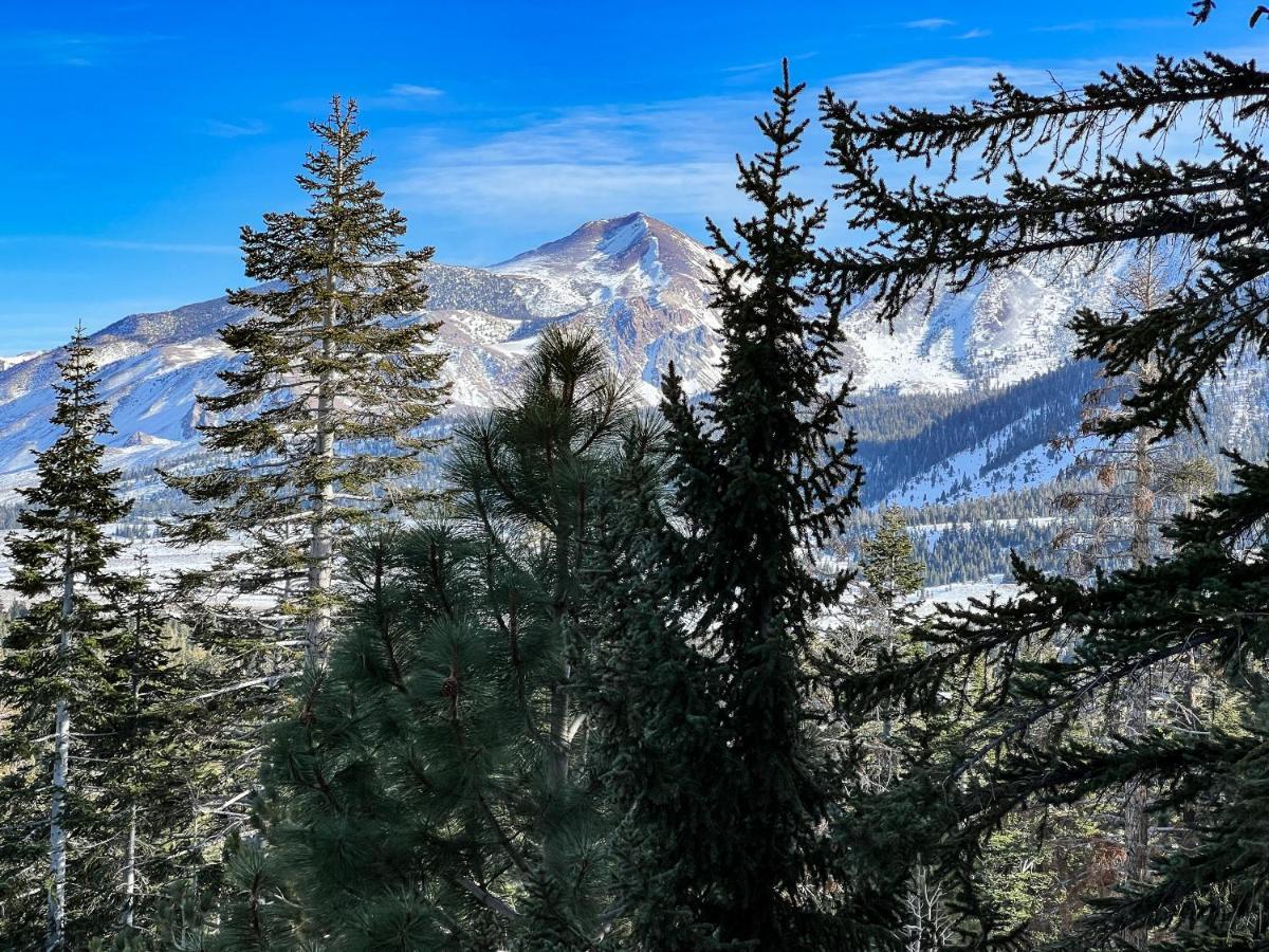 Mammoth Point #106 Apartamento Mammoth Lakes